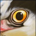 Augenblick eines Reihers Acryl auf Leinwand;
30 x 30 cm